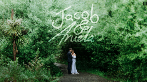 Wedding gallery